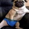 poopoopeepee0021
