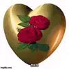 tinisatele