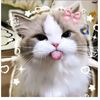 christine_thoon