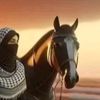 areenalmaqdesya22
