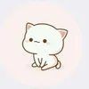 asho_323