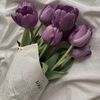tulipslova