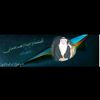 user9976224053080