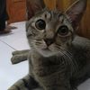 deisyah123
