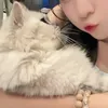 miuni12.06