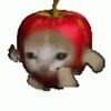 lmaopisan_n