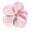 dollygorg3us