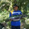 harrysfishing