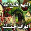 user7110117429028