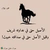 karojhkkh54