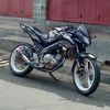 bayo.regar_