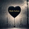 shah.sultan542
