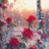 baljit.singh63