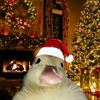 ethandebeer4