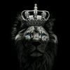 abela_b12