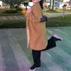 ami_rah55