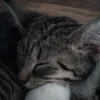 maxi.is.cute0