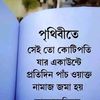 mdjashimuddin__0p