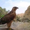nabil.habibo0326
