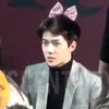 loxeexo