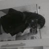 sool_maarr
