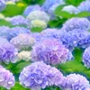 user6201218672631
