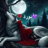 none_2050