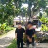 aril.cees74