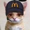hormiga_os123