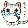 kiti.teapa