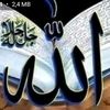 user8030842941195