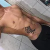 santss_trem