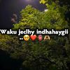 queenaayah