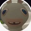 nelyrallmucsic