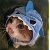 ritchelticoalu