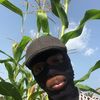comradecassava