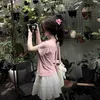 minn_xu2007