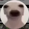 animations5000