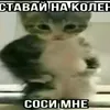 negatttive