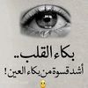 kamel.ali8