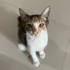 bookedbymary