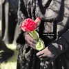 inara_kurdya