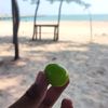 duniaku_id
