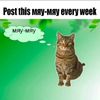 post this мяу-мяу every week