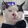 theonebugyboy1