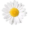sadha389