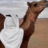 alialsherif17
