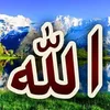 yasaminalshakiry