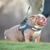 denzel_the_boss