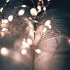 mammaluvs2read